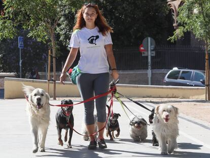 Andrea Sancho pasea a varios perros por el parque de Las Vistillas. 
