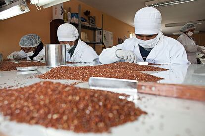 El dueño de la comercializadora Quinua Foods El Alto explica que en el Altiplano boliviano “las viviendas antes eran de barro; ahora hay electricidad y ladrillo gracias al capital que genera”.