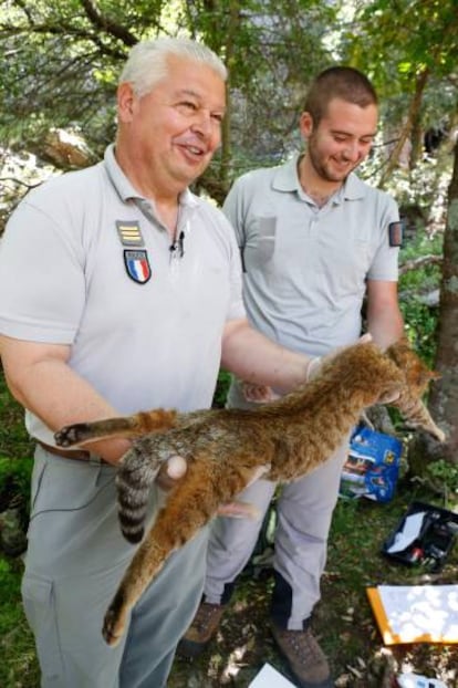 Los empleados de la oficina de flora y caza de Francia Pierre Benedetti (I) y Charles Antoine Cecchini sujetan el ejemplar de la supuesta nueva especie.