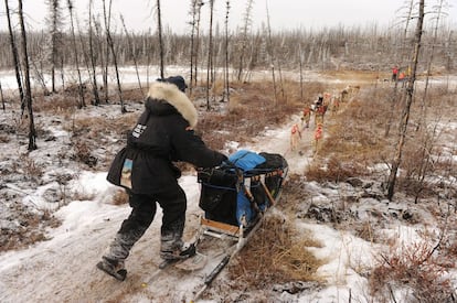 La ‘musher’ Kristy Berington durante su recorrido en Farewell Burn , 4 de marzo de 2014.