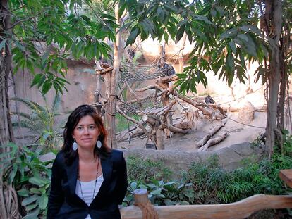 Pérez Melis se mueve entre África y Alemania para observar chimpancés.