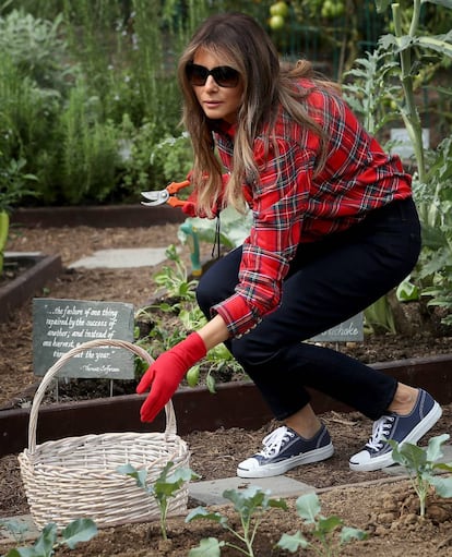 Melania Trump fotografiada en el huerto de la Casa Blanca en septiembre de 2017 .