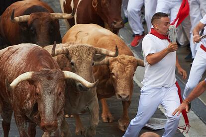 Algunos mozos apiñados cerca de la entrada a la plaza han conocido en sus carnes la fortaleza de algún cabestro.