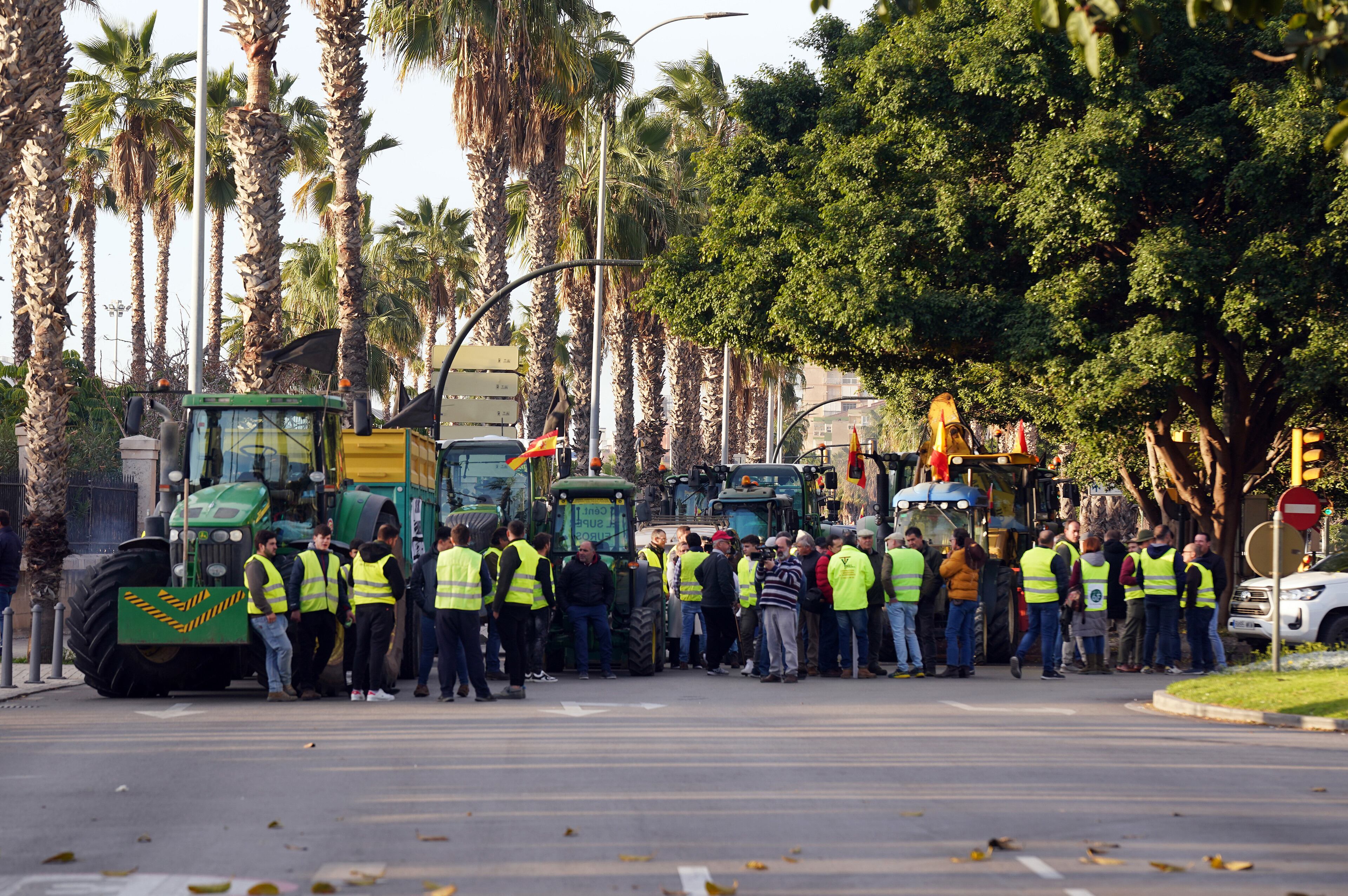 Cientos de agricultores y ganaderos han cortado las principales calles de acceso a la ciudad con sus tractores, este lunes en la ciudad de Málaga.