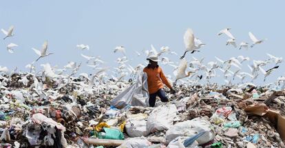 Un trabajador, en un vertedero en Karadiyana, Sri Lanka. El vertedero principal de la ciudad ha sido cerrado después de que una montaña de basura se derrumbara matando a 32 personas.