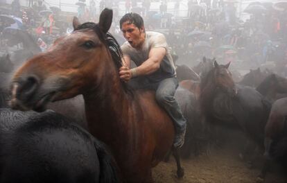 Un aloitador sube a uno de los caballos para intentar desequilibrar al animal para inmovilizarlo durante la rapa.