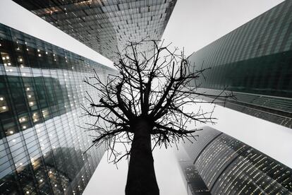 Un árbol seco cerca de la torre Oko, en el centro de Moscú (Rusia).