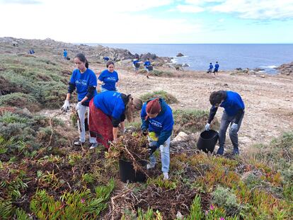 Participantes del programa de limpieza medioambiental diseñado por la fundación realizan sus tareas en la costa.