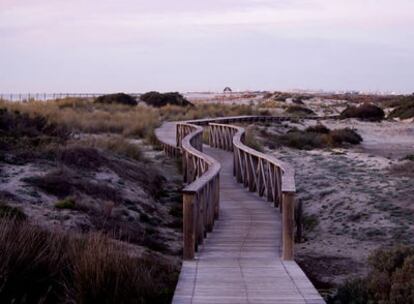 El sendero Punta del Boquerón, en San Fernando, Cádiz