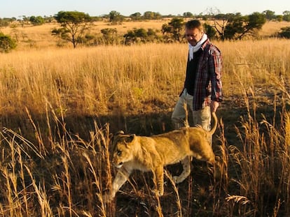 Paseando con leones cogidos del rabo