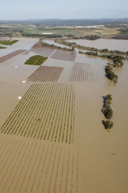 Cultivos inundados tras desbordarse el Guadalquivir en Sevilla.