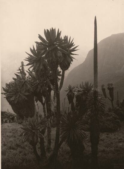 El Valle de Bujutu, en Uganda, fotografiado en 1927