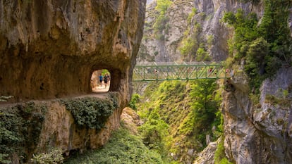 La ruta del Cares, en los Picos de Europa, es un destino prioritario para los amantes de la naturaleza y el senderismo.