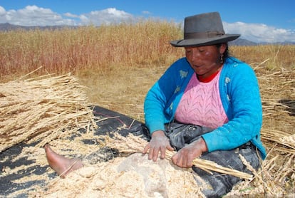 Los incas y otros pueblos prehispánicos la consideraron fundamental en su dieta. Para los conquistadores españoles, sin embargo, era 'comida de indios'. El trabajo manual es importante en el cultivo de la quinua. Las familias participan en la cosecha y ayudan en el desgranado.