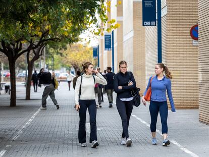 Estudiantes universitarios en el Campus dels Tarongers de Valencia el 13 de diciembre de 2023.