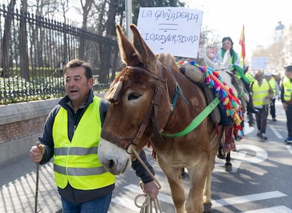 Manifestación de agricultores en Madrid el 6 de marzo. 