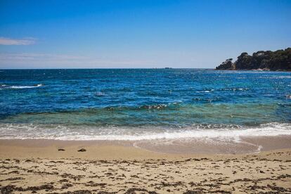 Els colors blau i verd del mar de la Costa Brava van inspirar el músic a l'hora de compondre 'Mediterráneo'.