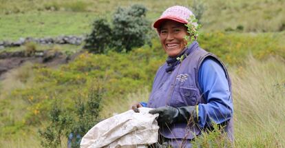 Los fondos del agua son proyectos de infraestructura verde que promueven la conservación de las cuencas.