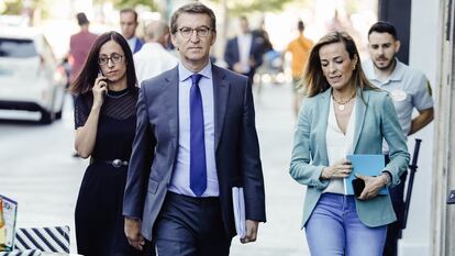 El presidente del Partido Popular, Alberto Núñez Feijóo, y la vicesecretaria de Políticas Sociales, Carmen Navarro, este miércoles en Madrid.