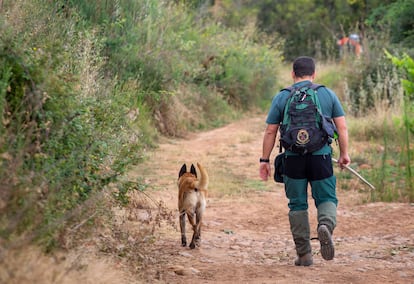 Guardia Civil