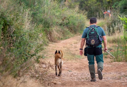 Guardia Civil