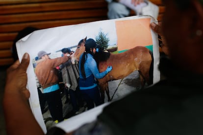 Familiares de las Cantor con algunos de los caballos que les pertenecieron.