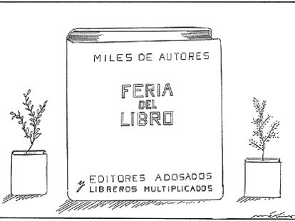MÁXIMO