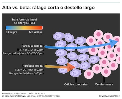 El interés por el uso de partículas alfa en radiofármacos está creciendo porque estas partículas pueden dirigirse con más precisión a los tejidos cancerosos, y tienen mayor capacidad para destruir células cancerosas de manera localizada.