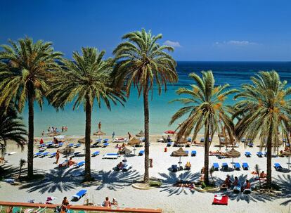 Palmeras en la playa d'en Bossa, en Ibiza.