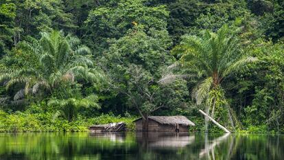 El río Congo a su paso por la provincia de Équateur, en la República Democrática del Congo