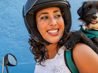 Llevar un perro en moto: legislación, sistemas y precios