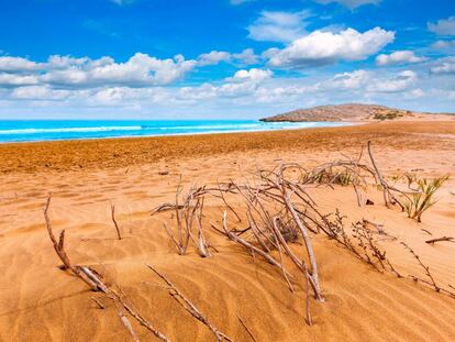 Las dunas f&oacute;siles del parque regional de Calblanque, en la costa de Cartagena (Murcia), enmarcan una de las &uacute;ltimas playas v&iacute;rgenes de Levante. 