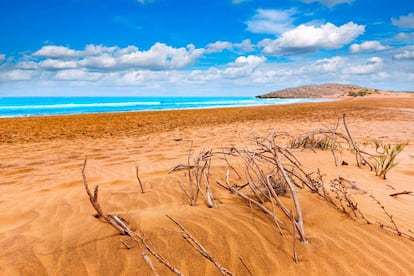 Las dunas f&oacute;siles del parque regional de Calblanque, en la costa de Cartagena (Murcia), enmarcan una de las &uacute;ltimas playas v&iacute;rgenes de Levante. 