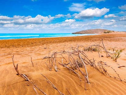 Las dunas f&oacute;siles del parque regional de Calblanque, en la costa de Cartagena (Murcia), enmarcan una de las &uacute;ltimas playas v&iacute;rgenes de Levante. 