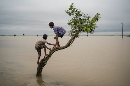 SERIE DE OPINION: Más allá de la tormenta