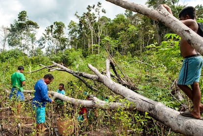 Habitantes indígenas del Pirá-Paraná trabajan en un terreno en el Macroterritorio de Yurupari.