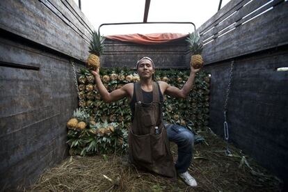 Daniel es de Oaxaca (México) y se dedica a la cosecha de piñas. Posa con dos de ellas en la Central de Abastos de México.