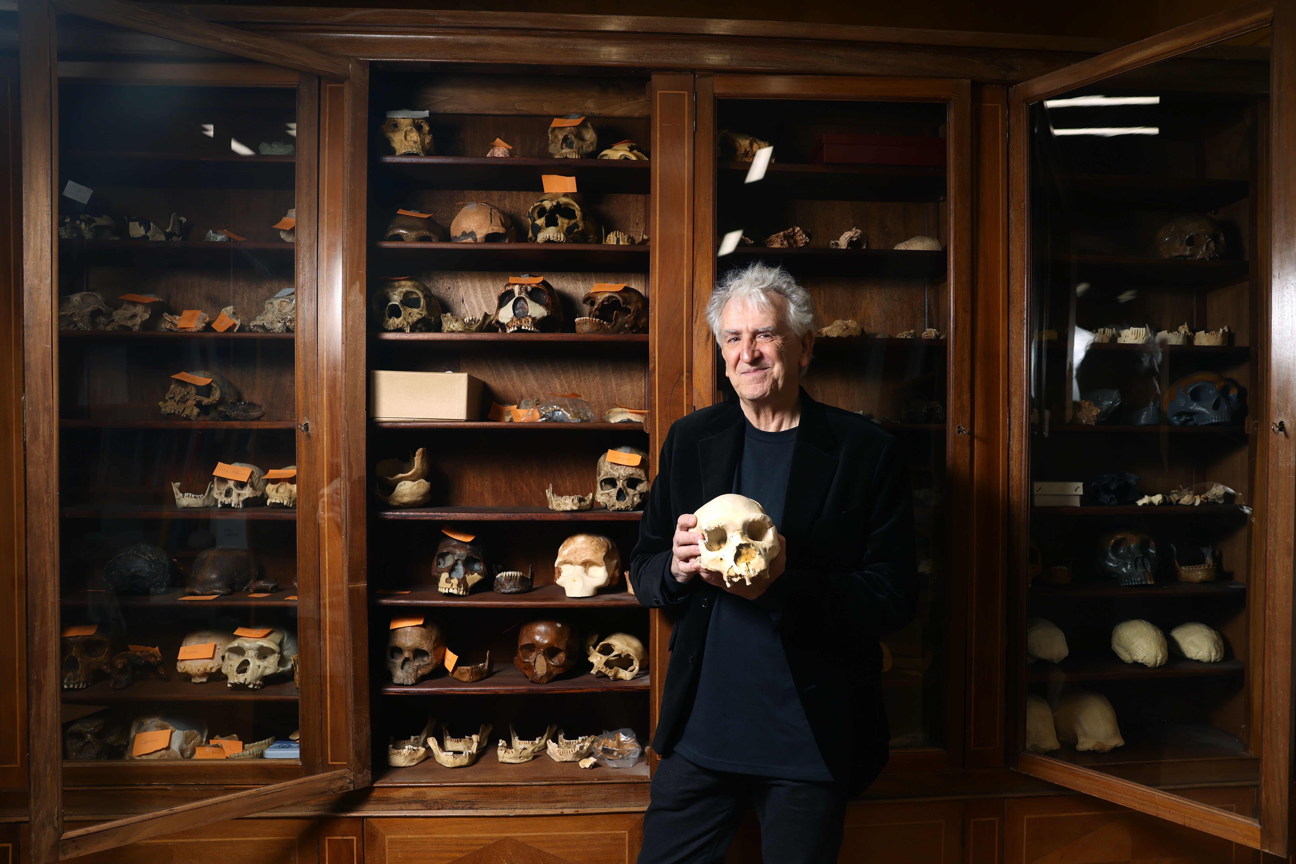 El paleoantropólogo Juan Luis Arsuaga sostiene una reproducción del cráneo 'Miguelón' hallado en la Sima de los Huesos de Atapuerca, en el Instituto de Salud Carlos III en Madrid.  