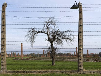 Auschwitz: a luta para preservar a memória do horror