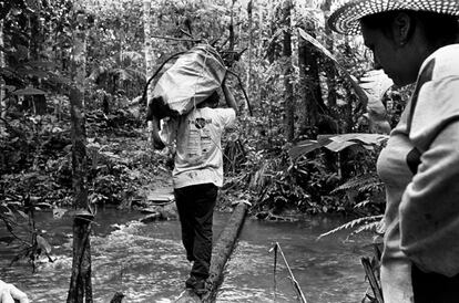 Imagens do trabalho de Rafael Hupsel, que mergulhou no cotidiano de um grupo que faz uso da ayhuasca. Na imagem, integrante da Irmandade Natureza Divina atravessa igarapé em Rondônia carregando o cipó 'Banisteropsis caapi' nas costas após ele ser colhido. O cipó é usado para fazer a beberagem.