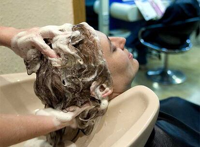 Una empleada de peluquería lava la cabeza a una clienta: en las peluquerías se utilizan productos que pueden causar dermatitis.