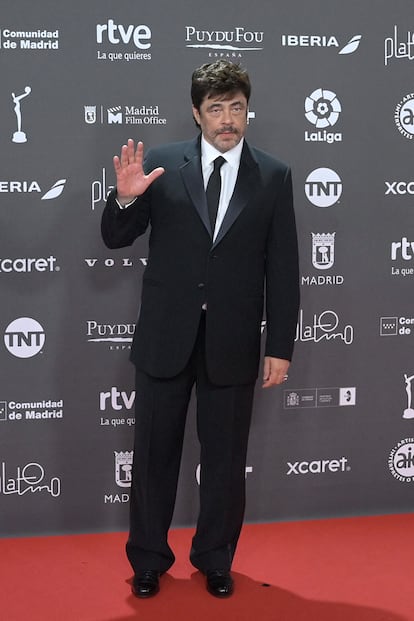 Benicio del Toro acudió a recoger el Platino de honor.