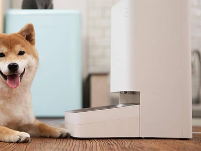 Xiaomi trae a España unos accesorios que hacen más sencillo dar de comer y beber a tu mascota