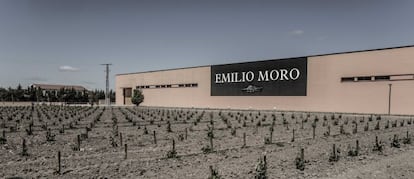 Vi&ntilde;edos de las Bodegas Emilio Moro.