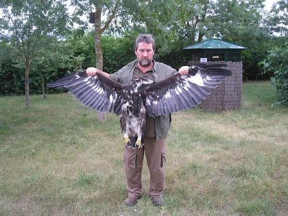 Andoni Díaz, guarda forestal en Álava, sostiene un pollo de un año de águila real que apareció muerto por disparos en Kuartango (Álava), en una imagen cedida por él.