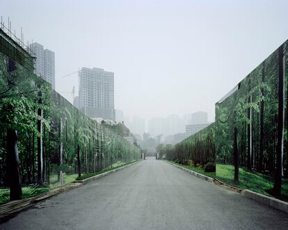 Enero de 2015. Grandes edificios al fondo de una carretera flanqueada por paneles con fotos de naturaleza.