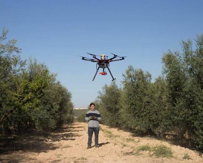 La utilización de los aviones no tripulados puede suponer una revolución en la agricultura y los profesionales están incluyendo esta herramienta para el control de sus cultivos. Hemav-Sevilla es una de las empresas que ya proporcionan este servicio. "Incorporamos al dron, un hexacóptero [aparato con seis rotores] de un metro de longitud, una cámara multiespectral que muestra lo bien o mal que están haciendo la fotosíntesis las plantas. De esta forma, creamos mapas que indican a través de una gama de colores, las zonas que requieren de especial atención, ya sea por necesidad de poda, abonado, riego o porque estén siendo afectadas por un hongo", afirma Álvaro Arias, gerente de la compañía.