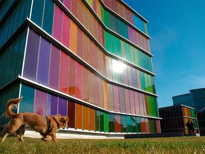 Desde el 1 de abril de 2005, fecha de su apertura, el Museo de Arte Contemporáneo de Castilla y León (Musac) ha recibido más de 466.000 visitantes (el edificio es obra del equipo de arquitectos Tuñón y Mansilla).