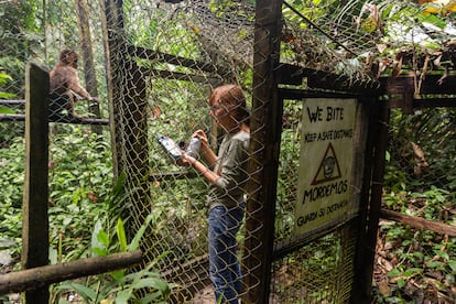 Pilpintuwasi es un centro de rescate de fauna silvestre y mariposario ubicado en la selva amazónica de Perú.


