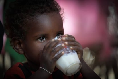 El número de niños que sufren retraso en el crecimiento ha caído, es una de las pocas buenas noticias que arroja el informe de la FAO de este 2018.